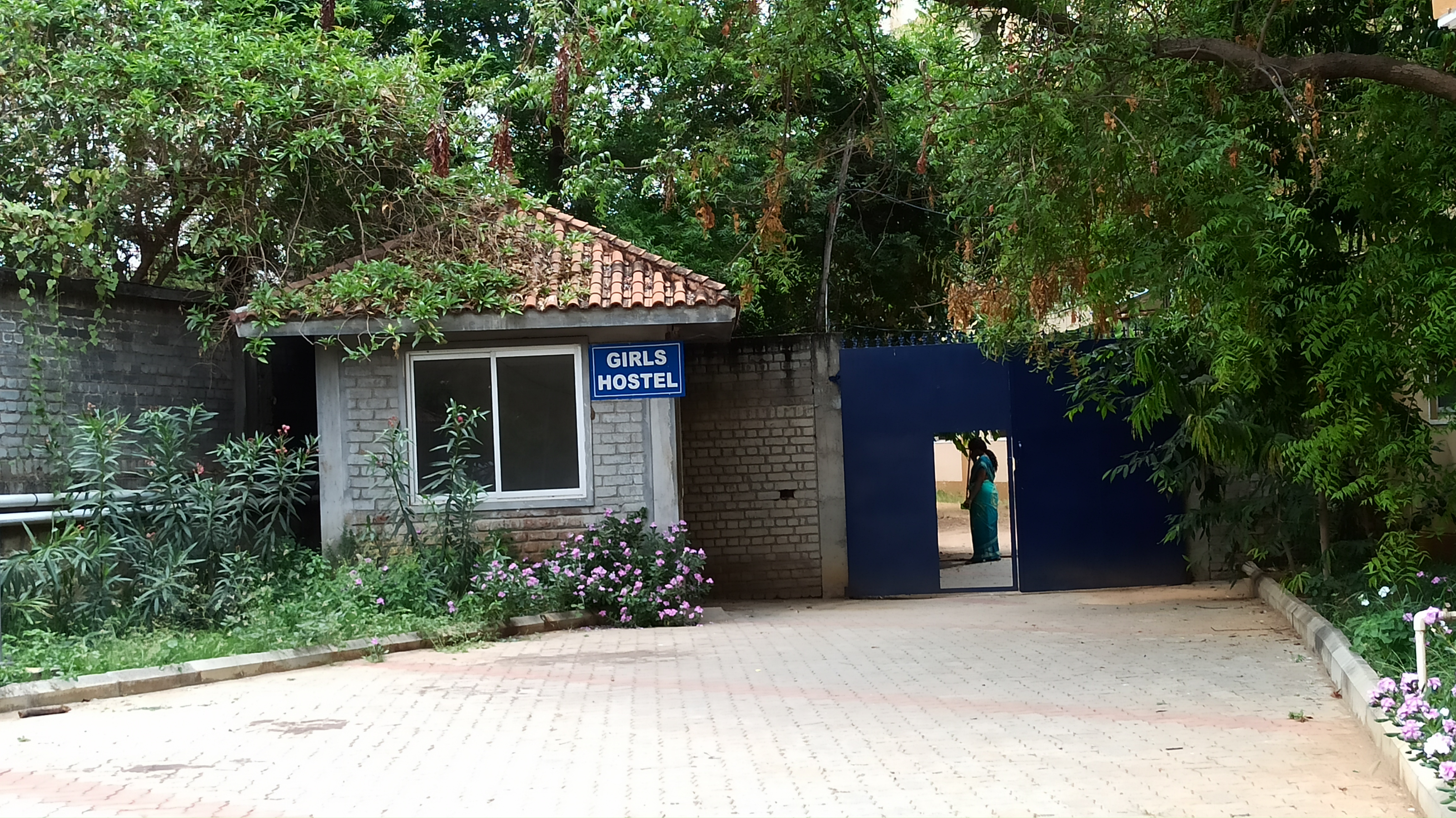 Computer network globe